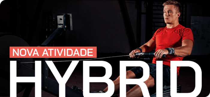 HYBRID_IMAGEN_port_email